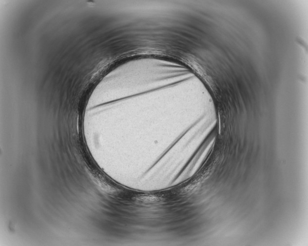 X0000094950253200712271704