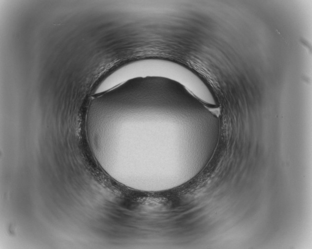 X0000094950255200712271704