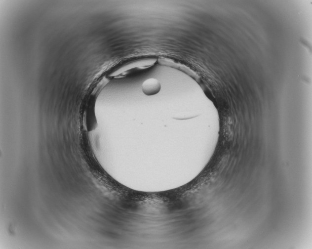 X0000094950256200712271704