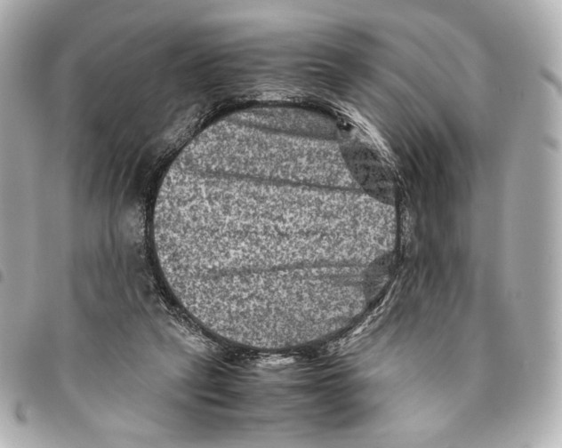 X0000094950257200712271704