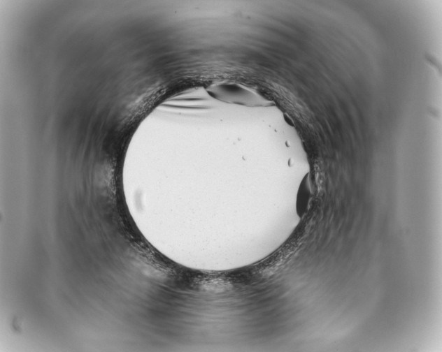 X0000094950258200712271704