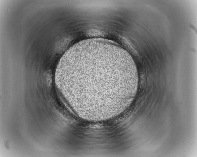 X0000094950259200712271704