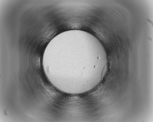 X0000094950262200712271704