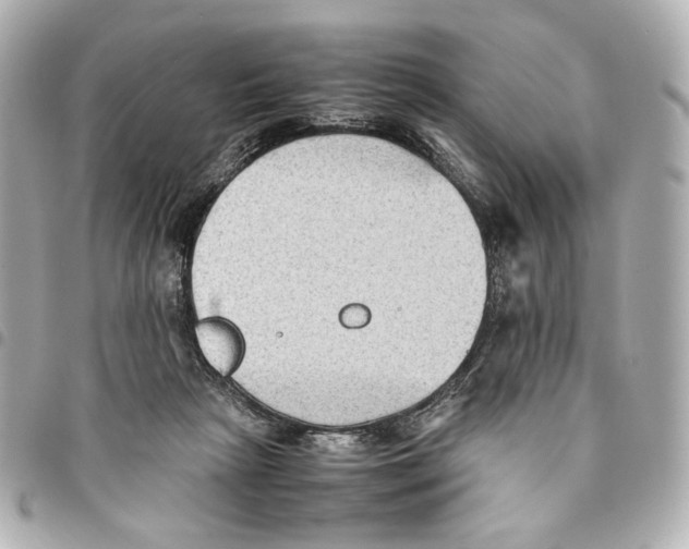 X0000094950265200712271704