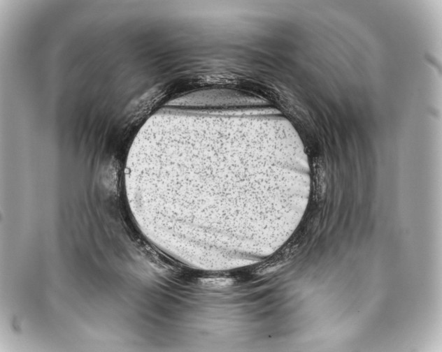 X0000094950266200712271704