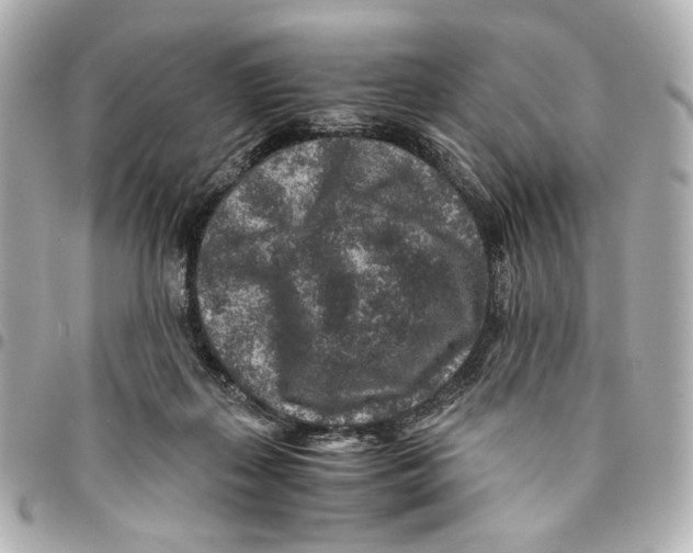 X0000094950267200712271704