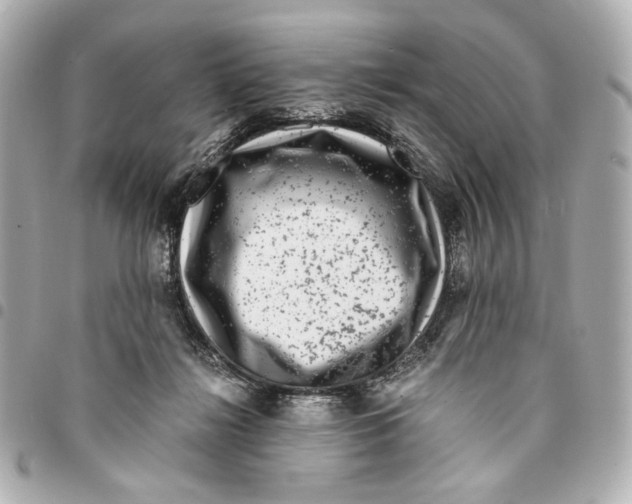 X0000094950268200712271704