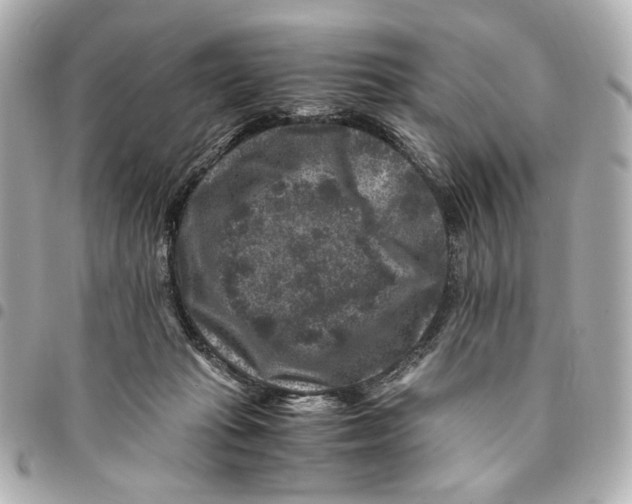 X0000094950269200712271704