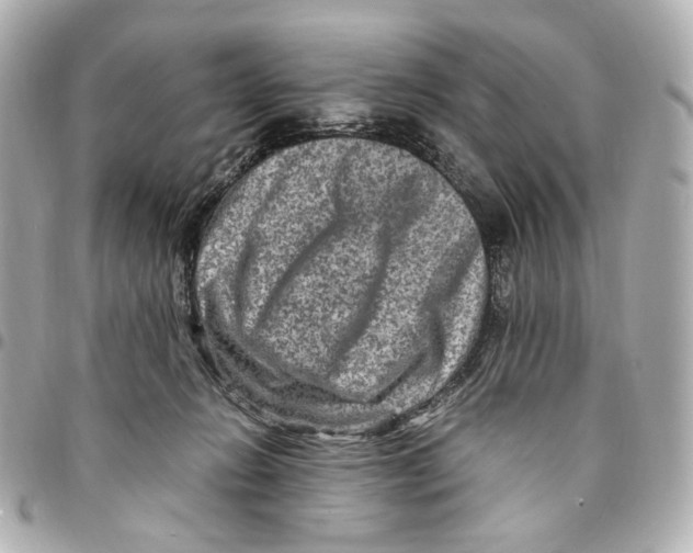 X0000094950270200712271704