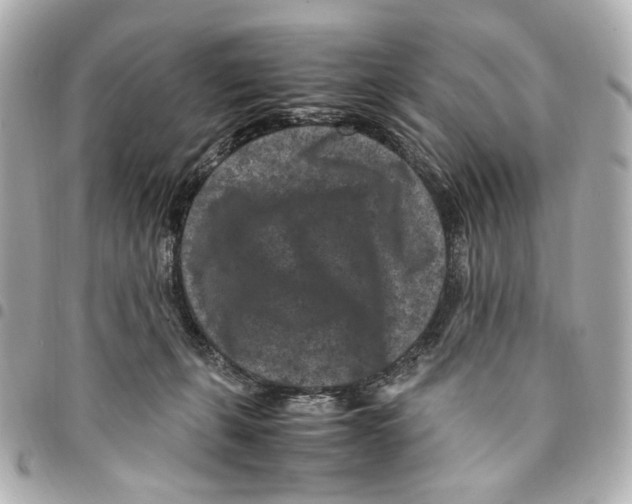 X0000094950271200712271704