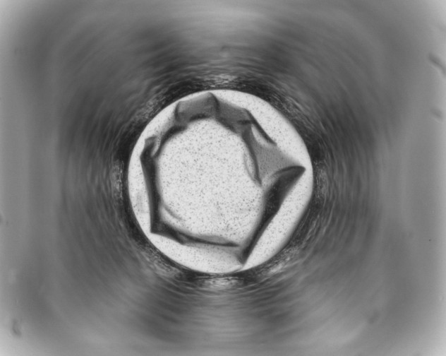 X0000094950274200712271704