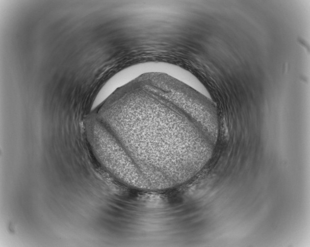 X0000094950276200712271704