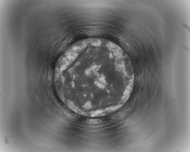 X0000094950277200712271704