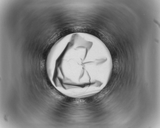 X0000094950278200712271704