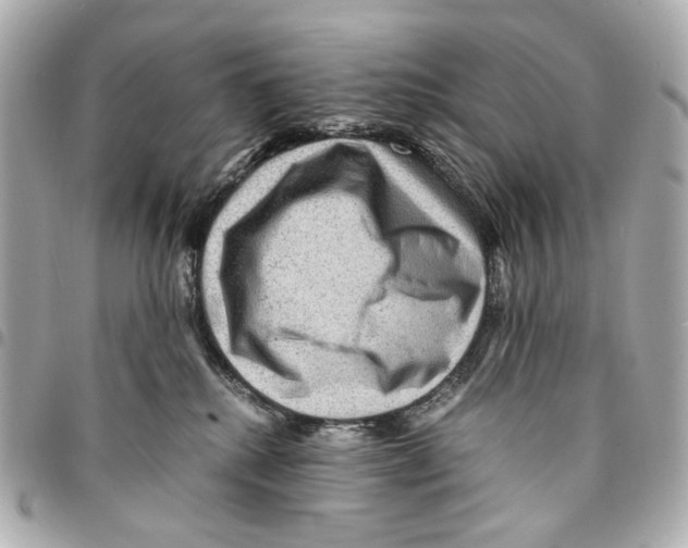 X0000094950280200712271704