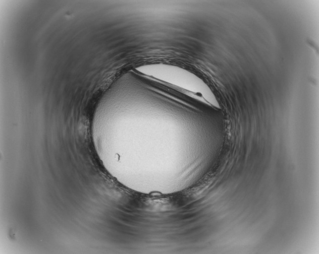 X0000094950283200712271704