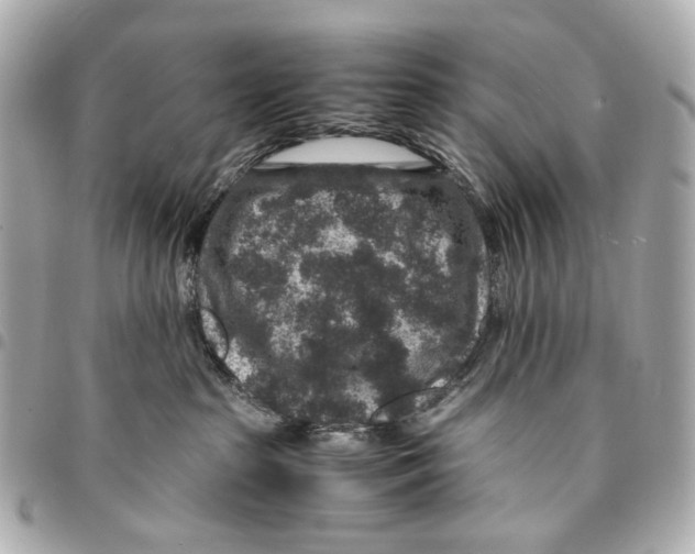 X0000094950285200712271704