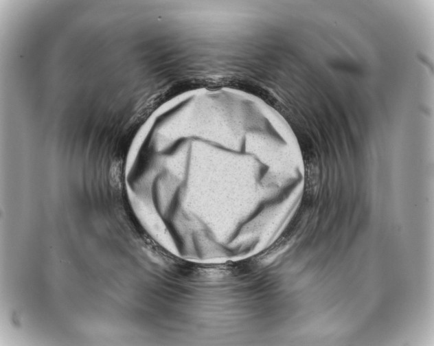 X0000094950286200712271704