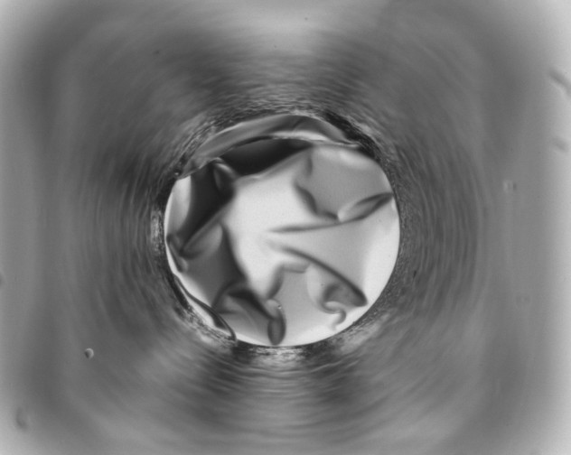 X0000094950288200712271704