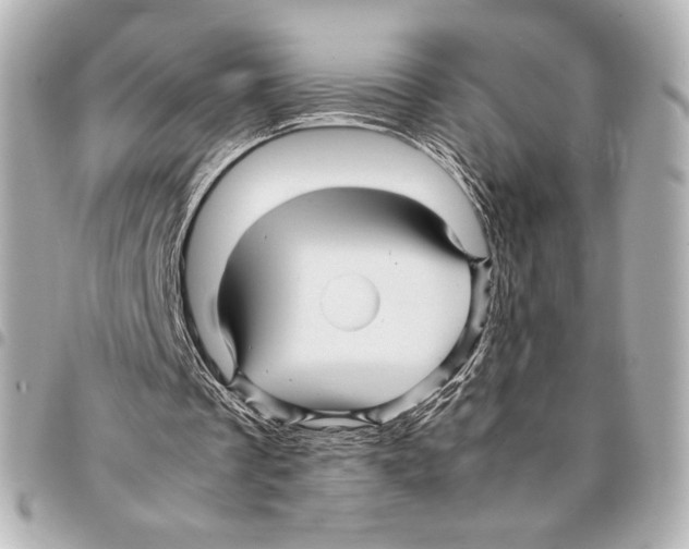 X0000094950289200712271704