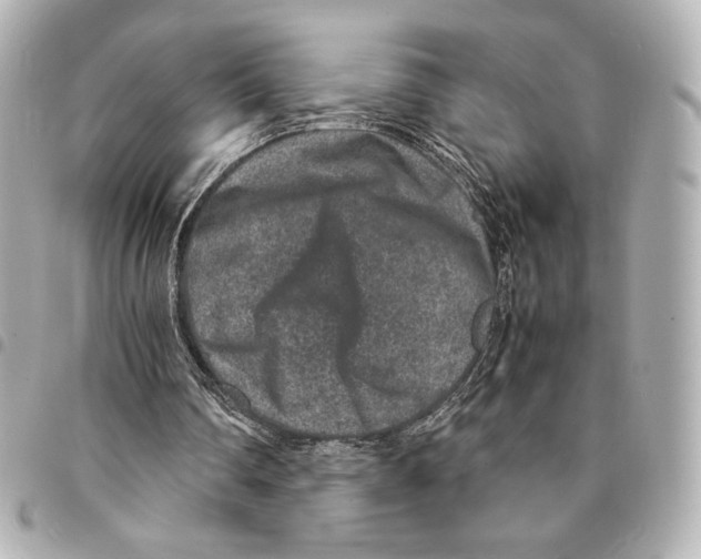 X0000094950290200712271704