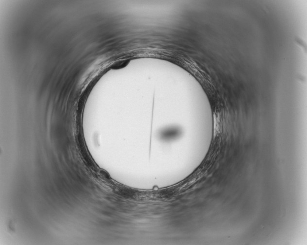 X0000094950291200712271704