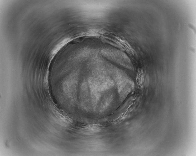 X0000094950292200712271704