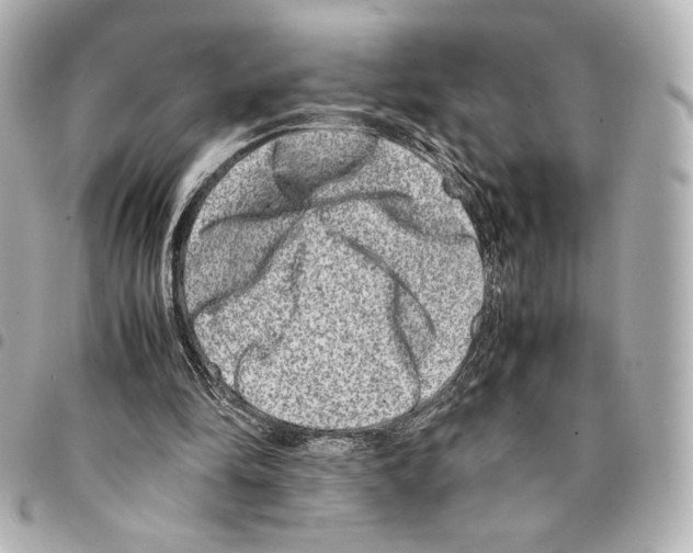 X0000094950294200712271703