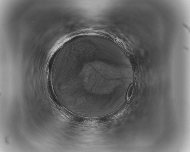 X0000094950295200712271703