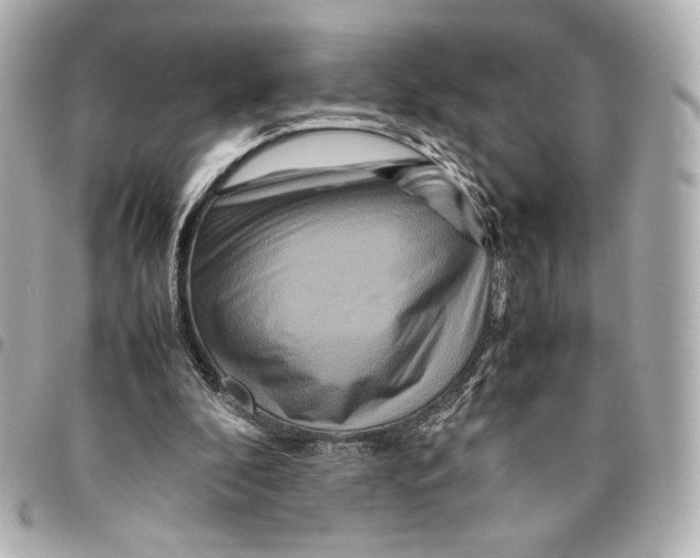 X0000094950296200712271703