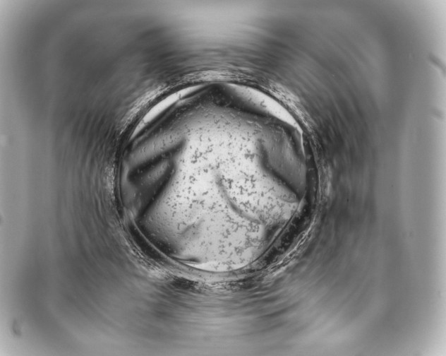 X0000094950297200712271703