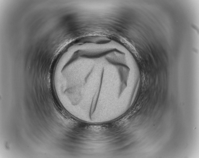 X0000094950298200712271703