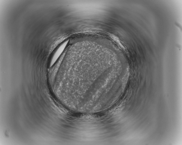 X0000094950299200712271703