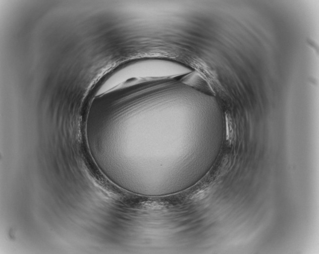 X0000094950300200712271703