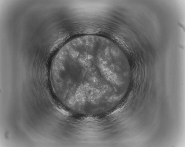 X0000094950303200712271703