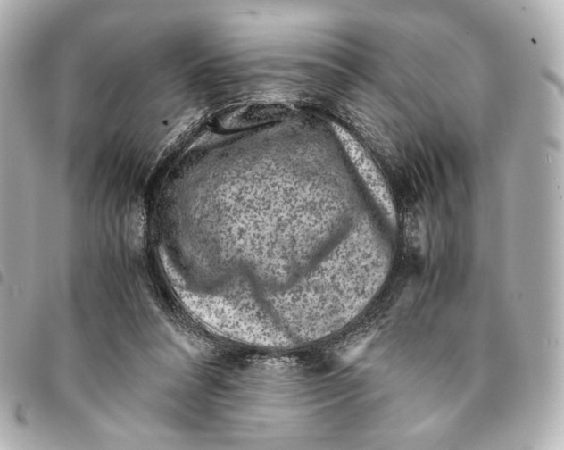 X0000094950304200712271703