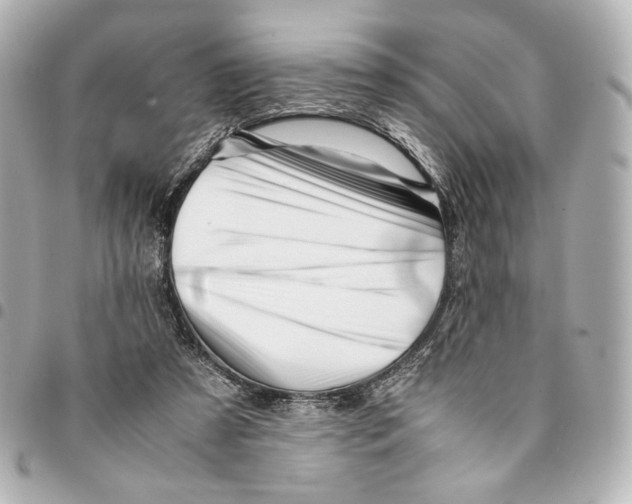 X0000094950305200712271703