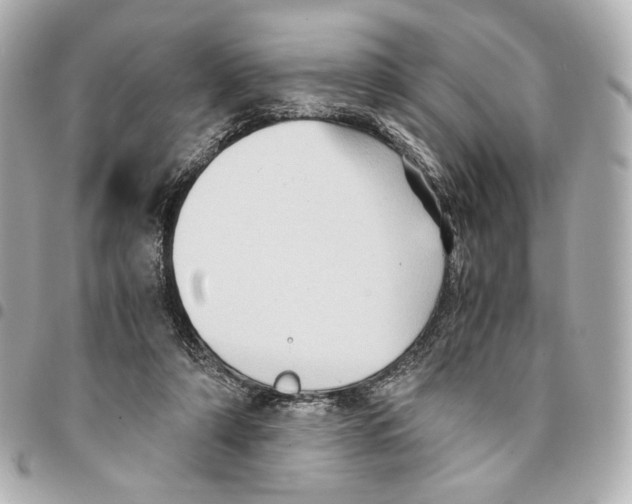 X0000094950306200712271703