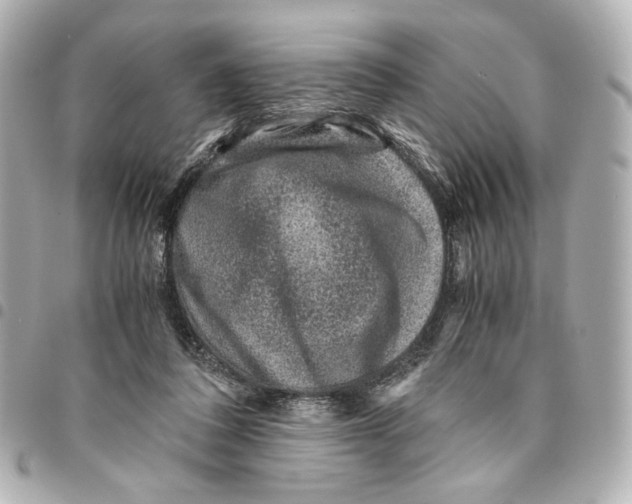 X0000094950308200712271703