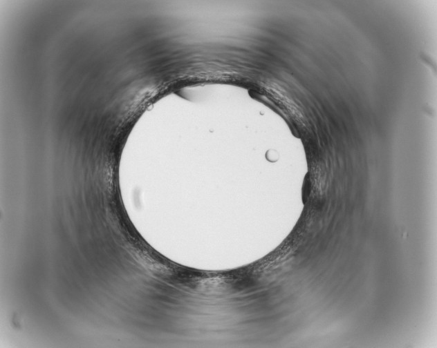 X0000094950309200712271703