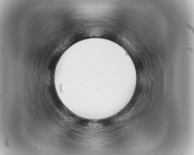 X0000094950311200712271703