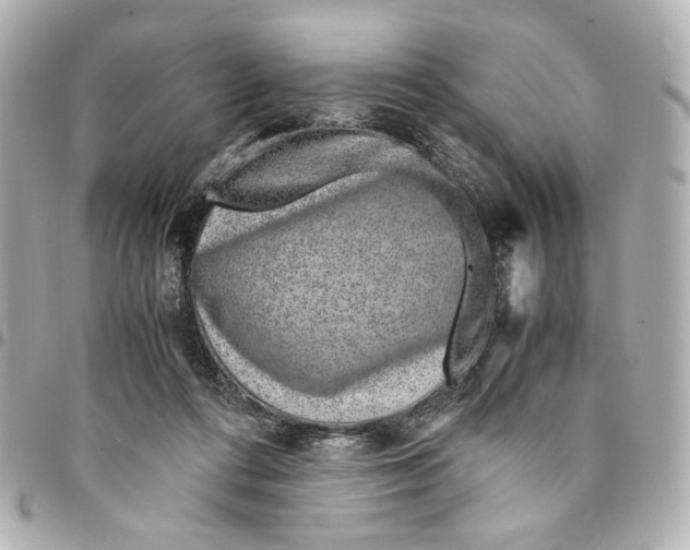 X0000094950312200712271703