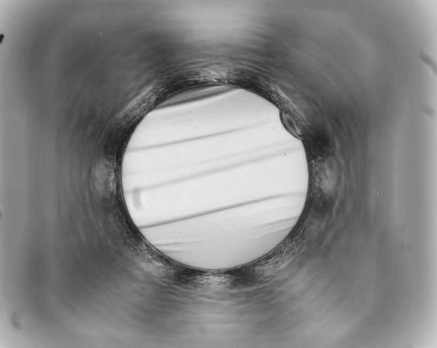 X0000094950313200712271703