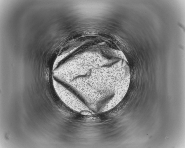 X0000094950315200712271703