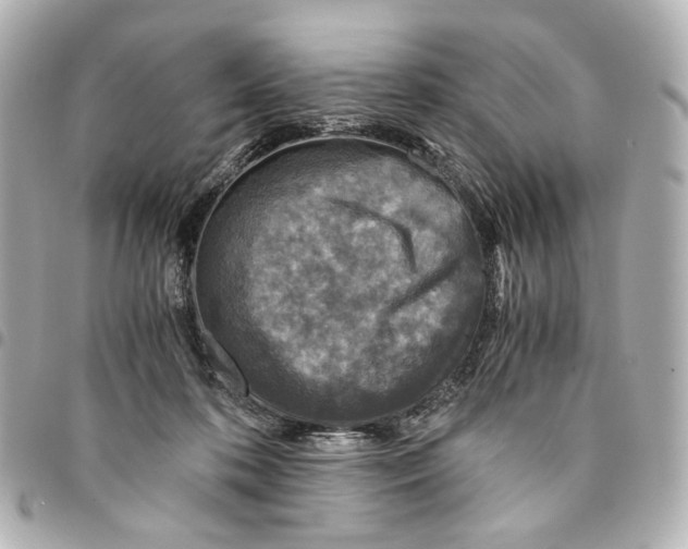 X0000094950316200712271703