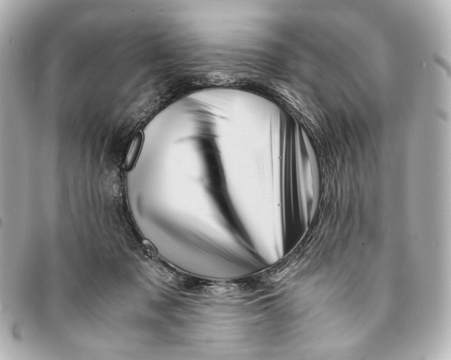 X0000094950317200712271703