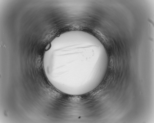 X0000094950318200712271703