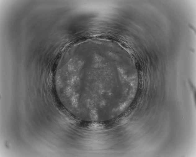 X0000094950319200712271703