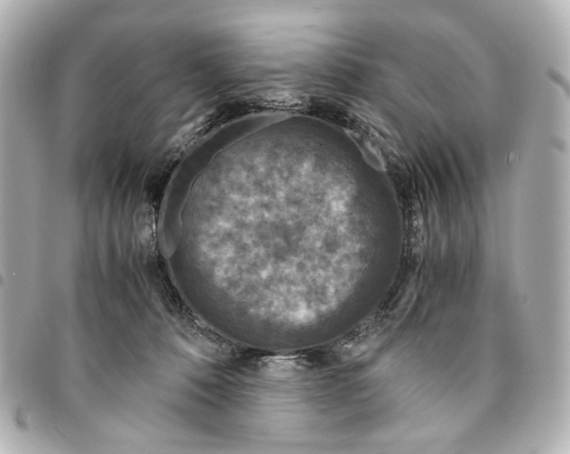 X0000094950320200712271703