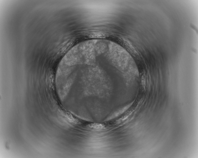 X0000094950322200712271703